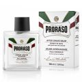 PRORASO Green Tea