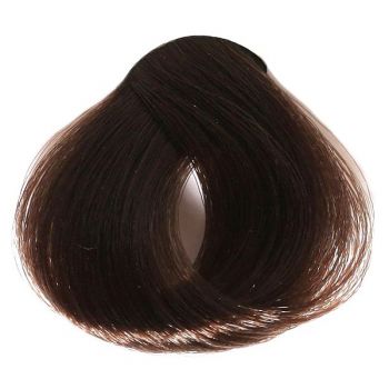 ACTIVE The Color ACTIVE The Color