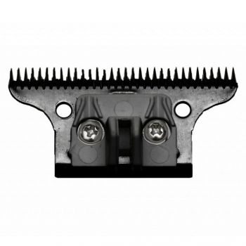 GAMMA PIÚ GAMMA PIÚ